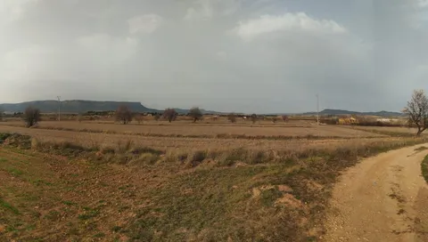 GRAN OCASION-PARCELA RUSTICA  DE 18.000 METROS MUY CERCA DE ALMANSA