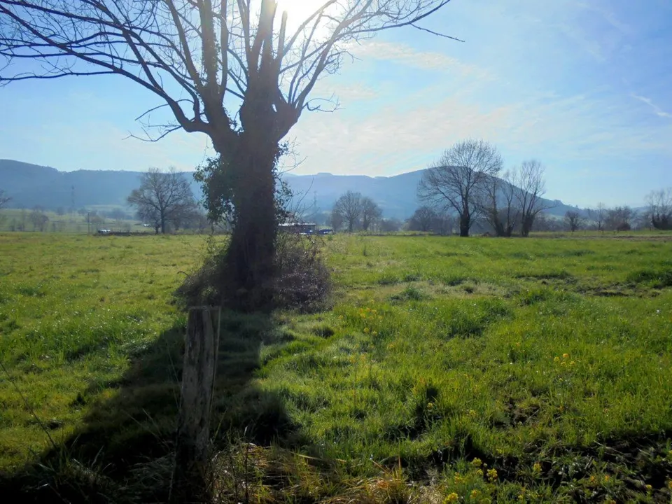 Terreno Rustico en Penagos