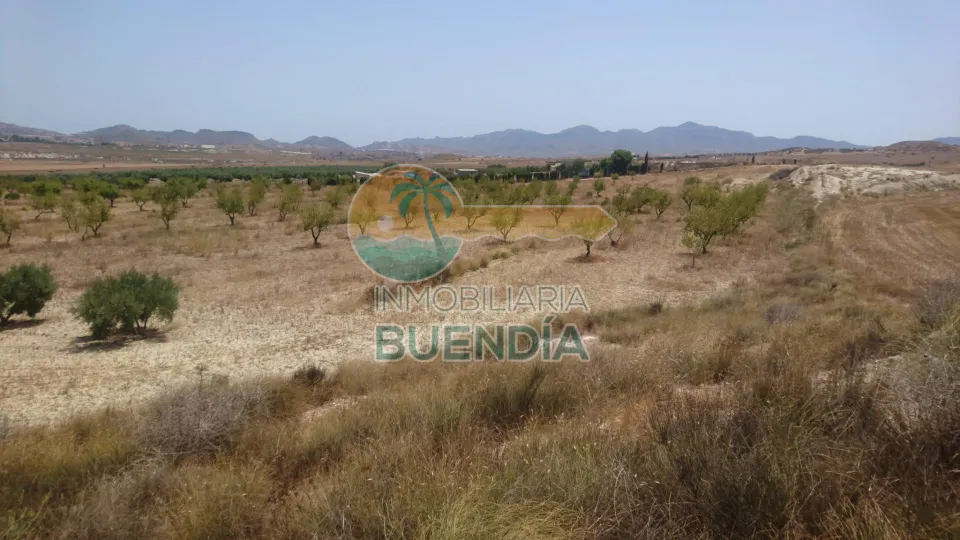 TERRENO RUSTICO A POCA DISTANCIA DE MAZARRÓN.