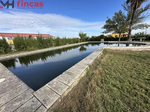 SE VENDE "COOPERATIVA" FINCA DE 10.000Mt CON NEGOCIO EN PLENA FACTURACIÓN MUY RENTABLE " NAVE 1500MT