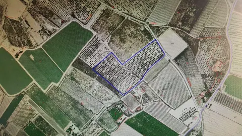 Gran Parcela Rústica de Más de 20.000 m2 en Monforte del Cid