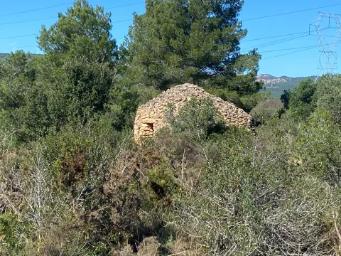 FINCA RUSTICA DE 4 HECTÁREAS AL PONT D'ARMENTERA