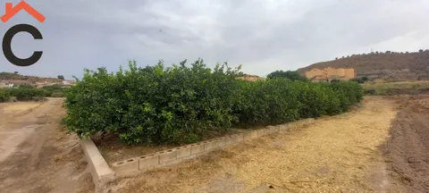 Se vende parcela rustica en Monteagudo.