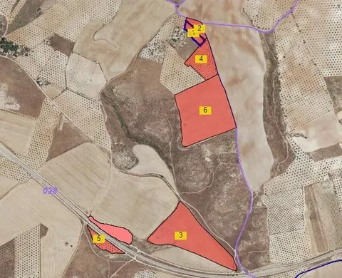 FANTÑSTICA FINCA RÑSTICA EN COLMENAR DE OREJA (MADRID)