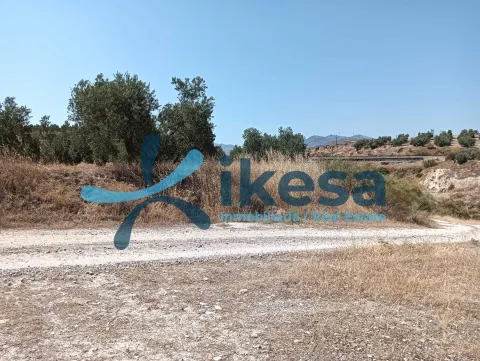 VENTA DE FINCA RÚSTICA EN JÓDAR (JAÉN)