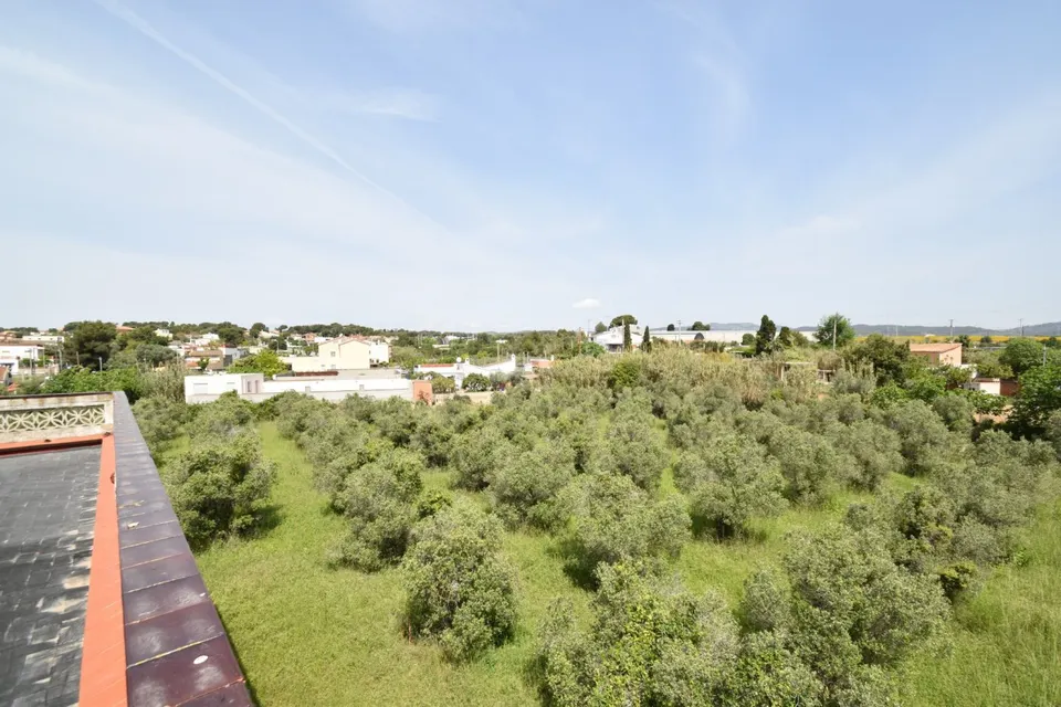 Finca de olivos con casa en venta, al lado del núcleo urbano