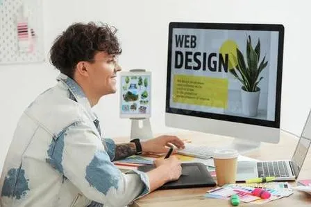 Busco para la creación de páginas web